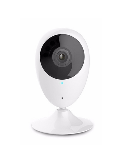 无线报警智能网关超强扩容 语音提示 摄像头联动取证